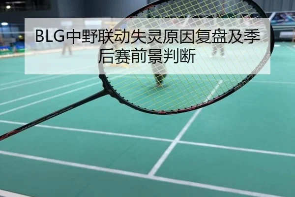 BLG中野联动失灵原因复盘及季后赛前景判断