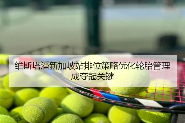 维斯塔潘新加坡站排位策略优化轮胎管理成夺冠关键