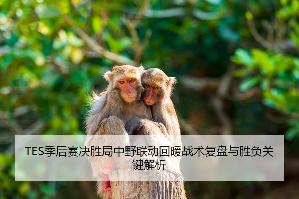 TES季后赛决胜局中野联动回暖战术复盘与胜负关键解析